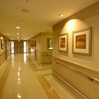 A well-lit and clean hospital hallway adorned with modern art.