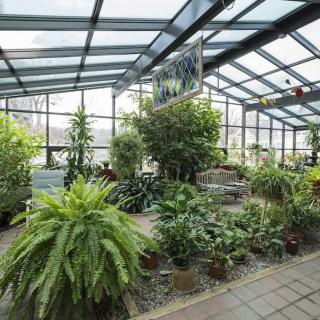 A vibrant indoor greenhouse filled with a variety of lush plants and foliage.