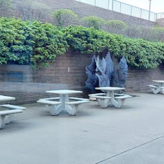 A quiet outdoor seating area with concrete tables surrounded by lush greenery.