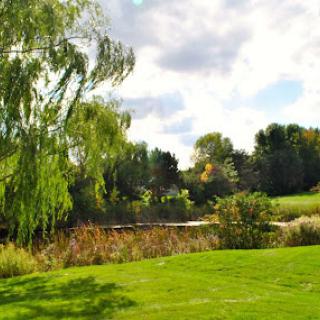 A serene view of a lush green park with a tranquil pond and vibrant trees under a partly cloudy sky.