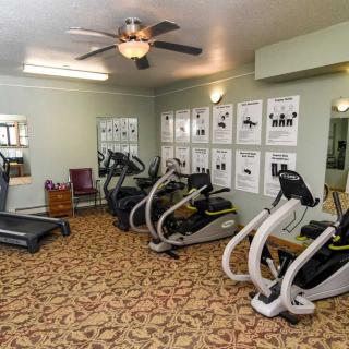 A small indoor gym with treadmills and elliptical machines on a carpeted floor.