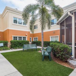 A peaceful courtyard with a palm tree and benches outside a residential building.
