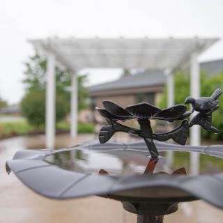 A metal bird sits on a garden bird bath under a pergola.