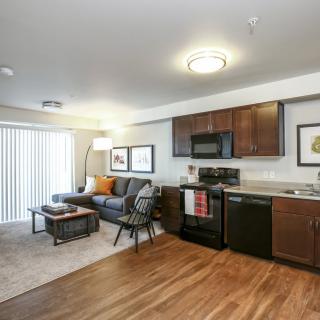 A modern open-concept living room with a kitchen, featuring hardwood floors and stylish decor.