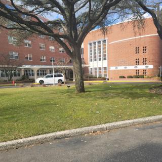 A sunny day outside a brick building with trees and a vehicle parked nearby.