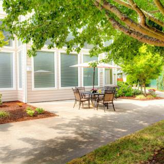 A peaceful outdoor patio area with a table and chairs under the shade of trees.