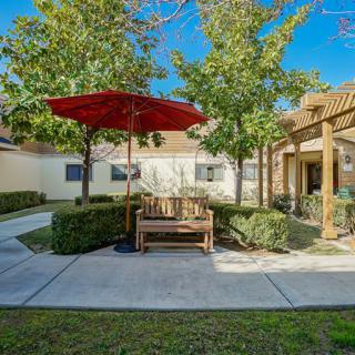 A tranquil garden patio with a bench and a red umbrella on a sunny day.