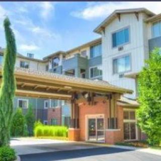 A hotel entrance featuring modern architecture and lush landscaping.
