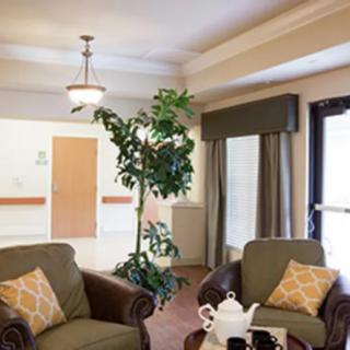 A cozy living room with comfortable chairs, a potted plant, and decorative elements.