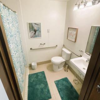 A well-lit bathroom with modern fixtures, featuring a shower curtain, wall art, and green rugs.
