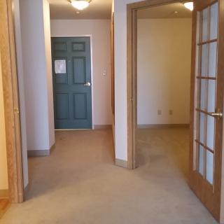 A view of an interior hallway with carpet and multiple doors leading to rooms.