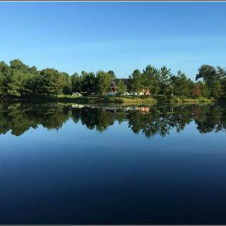 A serene lake reflecting the surrounding trees and clear blue sky.