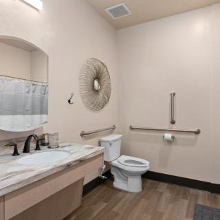 An accessible bathroom with handrails, featuring a toilet, sink, and decorative wall art.