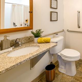 A clean and modern bathroom with a granite countertop, decorated with a plant and framed art.