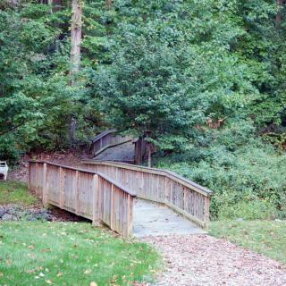 A wooden bridge leading into a lush forest area.
