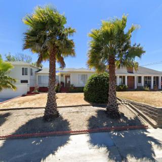 A suburban house with palm trees under a clear blue sky.
