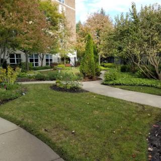 A serene garden pathway surrounded by lush greenery and vibrant trees.