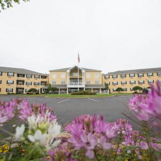 A large symmetrical building is seen from a distance, surrounded by vibrant pink and purple flowers.
