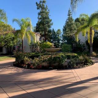 A beautifully landscaped garden with palm trees and a central fountain under a clear blue sky.