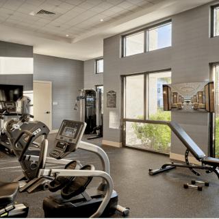 A modern gym interior featuring various exercise equipment including treadmills and a bench press.