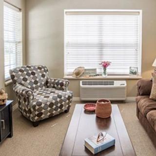 A cozy living room with a patterned armchair, sofa, and coffee table, featuring a large window with blinds.