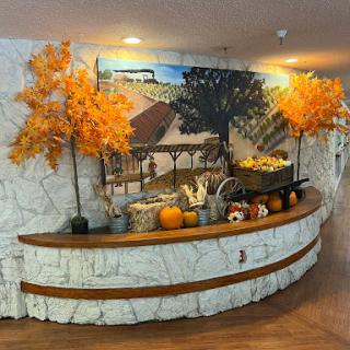 A beautifully arranged autumn display featuring orange trees and pumpkins, enhancing the inviting atmosphere.