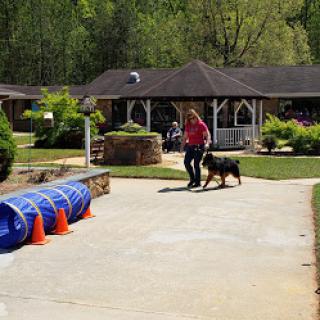 A person is training a dog to navigate an obstacle course featuring cones and barrels in a landscaped outdoor setting.