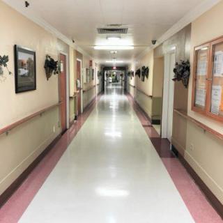 A view of a well-lit hallway with decor and doors on either side.