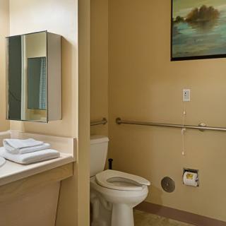 An accessible bathroom featuring a toilet with handrails, a sink with towels, a mirror, and a decorative painting on the wall.