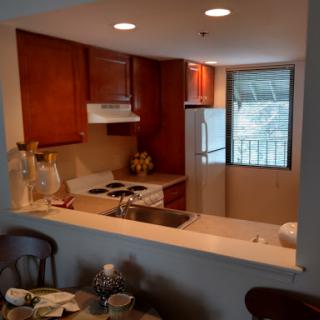 A cozy kitchen featuring wooden cabinets and modern appliances, with a bright window offering natural light.