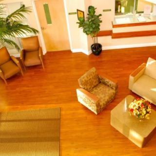 A warm and welcoming waiting area with comfortable seating, a wooden floor, and decorative indoor plants.