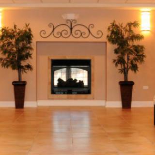 A cozy living room interior with a central fireplace flanked by potted plants on a wooden floor.