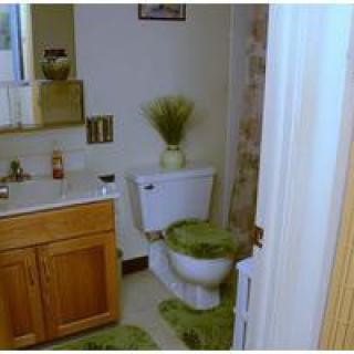 A bathroom with green rugs and decorative elements, featuring a toilet and sink.