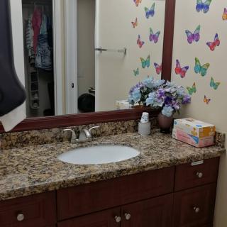A bathroom with a granite countertop, decorated with butterfly decals and a vase of flowers.