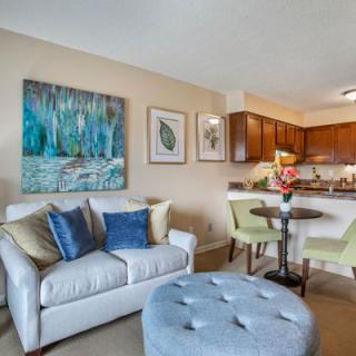 Brookdale Bristol