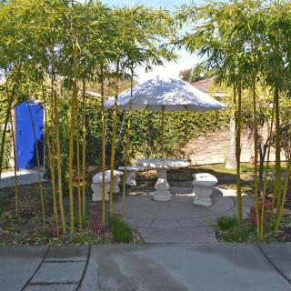 A serene garden setting with bamboo and outdoor seating under an umbrella.