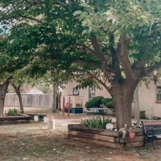 A peaceful backyard with lush trees, garden beds, and outdoor seating.