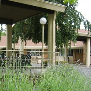 A view of a building with a lamp post surrounded by greenery.