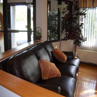 A cozy living room featuring a leather sofa with pillows, surrounded by natural light and greenery.