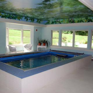 An indoor swimming pool with a ceiling mural and natural lighting streaming in through several windows.