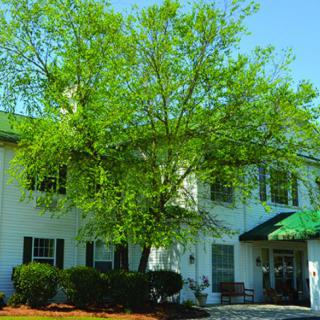 A white two-story building with a large tree in front and a green awning.