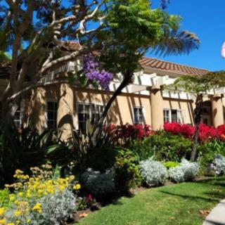 A beautiful garden with a variety of colorful flowers and trees in front of a house on a sunny day.