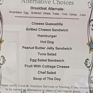 A list of alternative meal choices available for breakfast or lunch.
