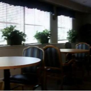 A quiet cafe interior with tables, chairs, and potted plants by the windows.