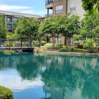 A serene view of a pond surrounded by lush greenery and an apartment building in the background.
