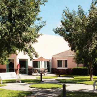 A peaceful outdoor area with benches and a pathway surrounded by trees in front of a building on a sunny day.