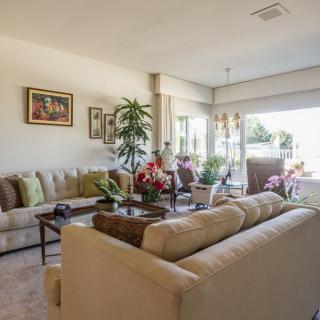 A modern living room with comfortable sofas, decorative plants, and natural light.