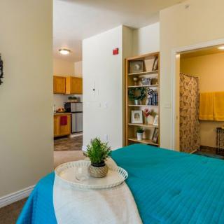 A cozy apartment interior with a view of a bedroom featuring a teal bedspread and a small plant on the bed, leading into an open kitchen area.