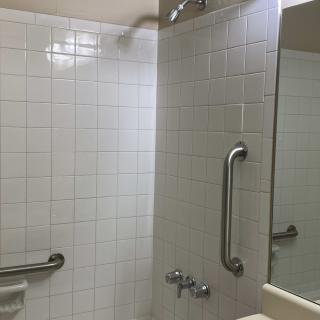 A bathroom featuring a tiled shower area with grab bars and a mirror.