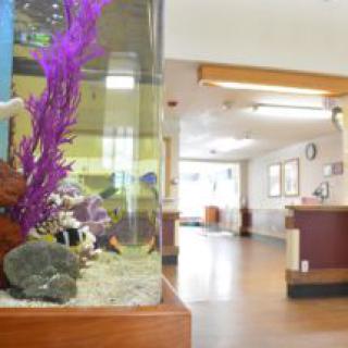 A brightly lit lobby featuring an aquarium with colorful plants and fish.